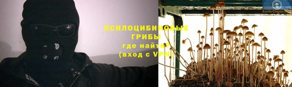 гидра Абинск