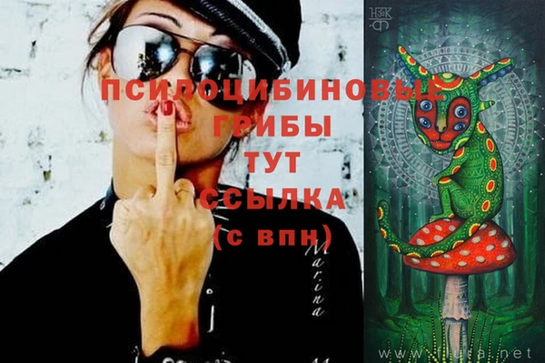 марки nbome Алзамай